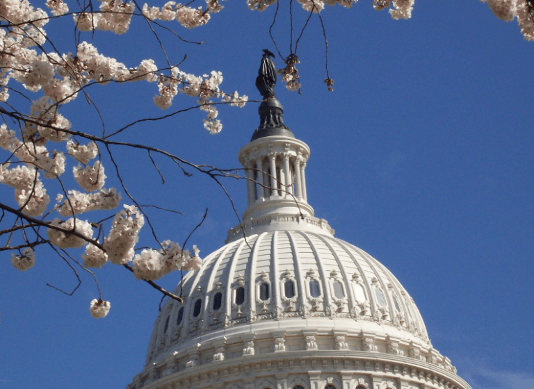 Screenshot 2025 06 15 124338 768x560